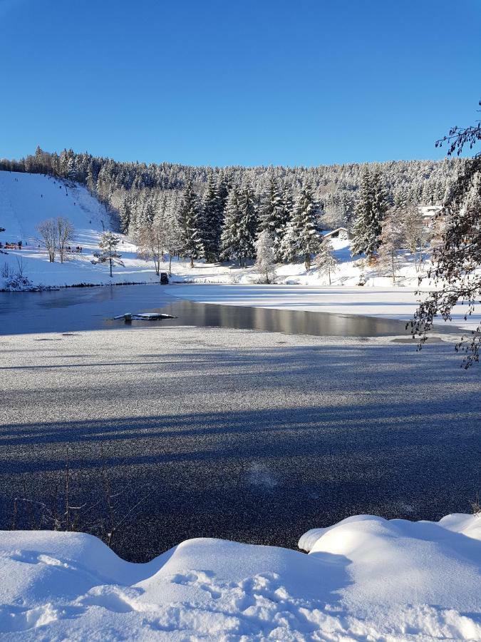 Apartamento Jules Traum Im Schwarzwald Herrischried Exterior foto