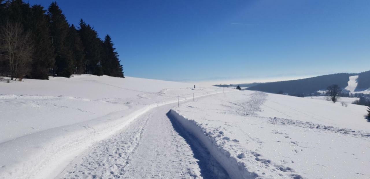 Apartamento Jules Traum Im Schwarzwald Herrischried Exterior foto