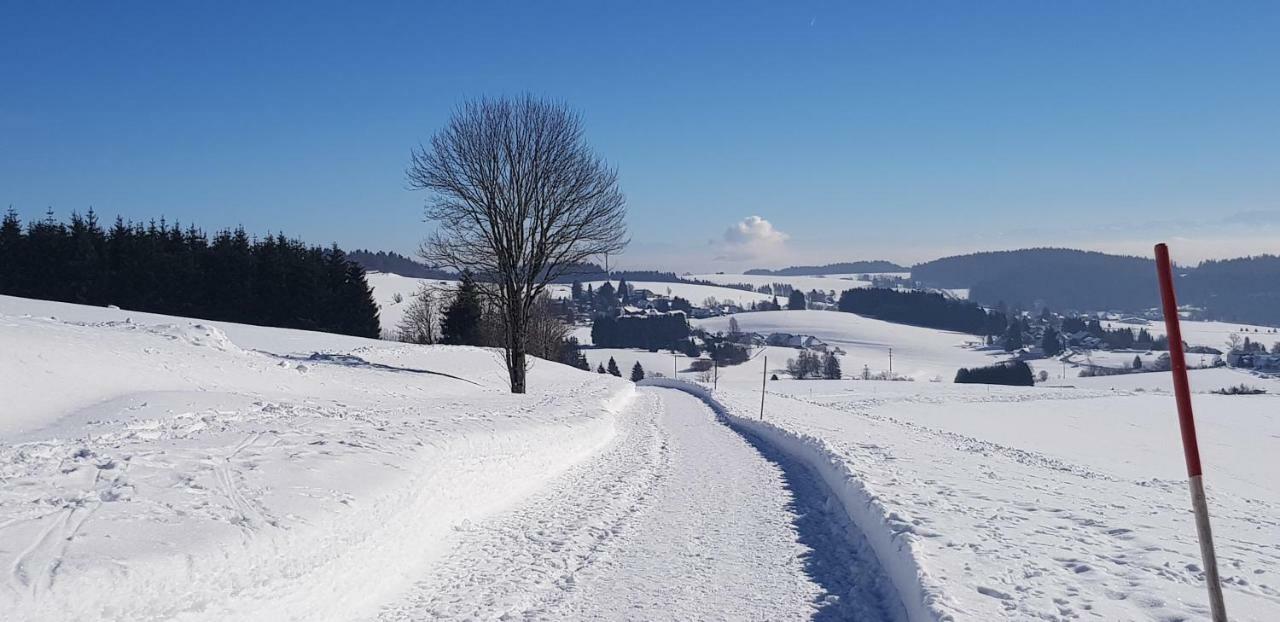 Apartamento Jules Traum Im Schwarzwald Herrischried Exterior foto